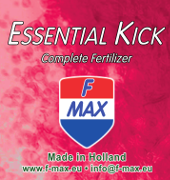Essential Kick 75 gram-0