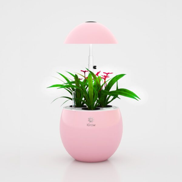 UrbanGreen I-Grow G301A,roze (white led