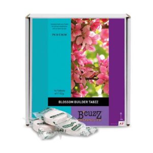Atami blossom builder tabzz-0