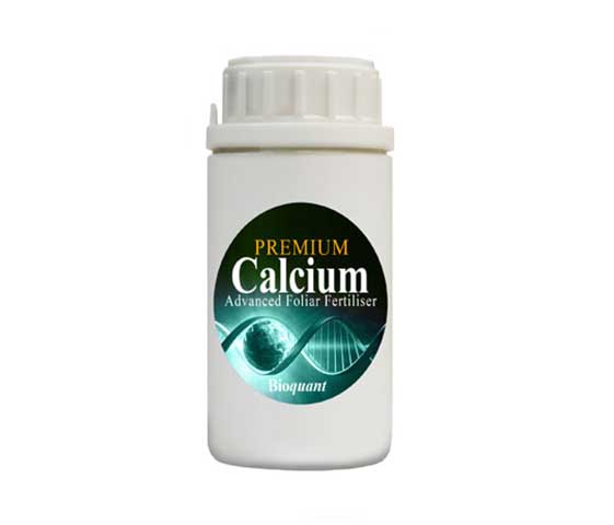 Bioquant bio calcium aff 100ml-0