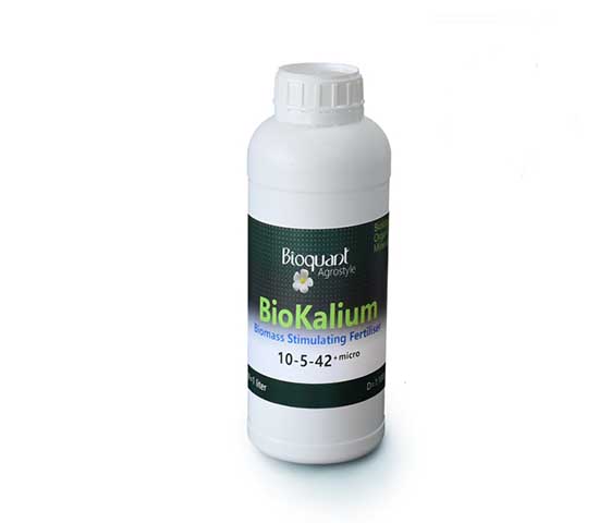 Bioquant bio kalium 1 liter-0