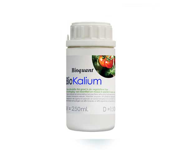 Bioquant bio kalium 250 ml-0