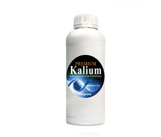 Bioquant bio kalium aff 100ml-0