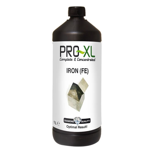 Pro XL iron