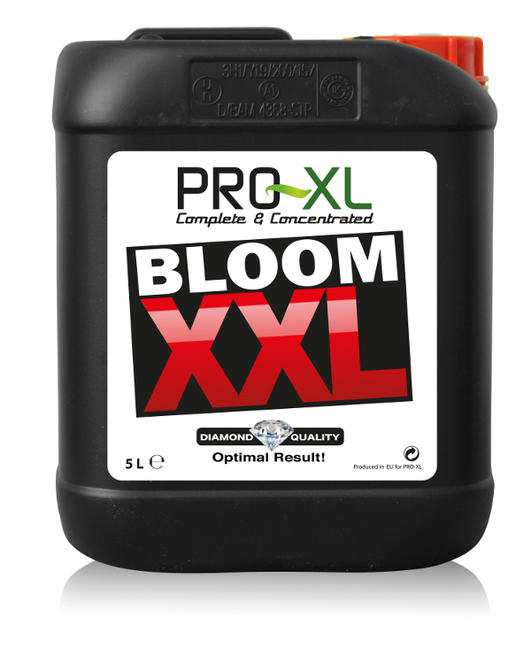 Pro XL Bloom XXL