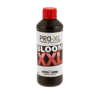 Pro xl bloom XXL