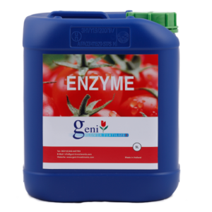 geni-enzyme-amsterdam