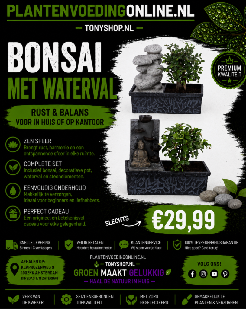 Bonsai met Waterval